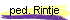 ped.Rintje
