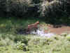 P9040051.JPG (219983 bytes)