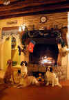 kerstfoto.jpg (654740 bytes)