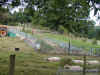 moestuin1.JPG (216740 bytes)