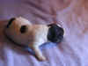 pup4_wk2.jpg (32314 bytes)